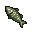 old fish