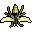 Wasp